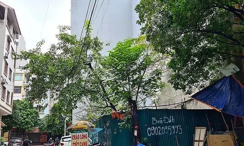 Bỏ cọc loạt lô đất đấu giá ở quận trung tâm Hà Nội