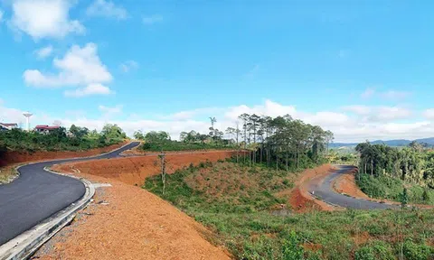 Kon Tum thanh tra toàn bộ dự án xây dựng biệt thự trên đất rừng