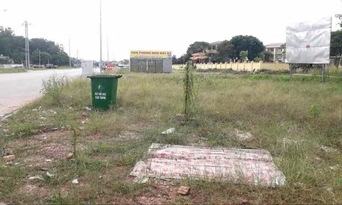 Bắc Giang: Cứ 100 lô đất đưa ra đấu giá, có 16 lô bỏ cọc