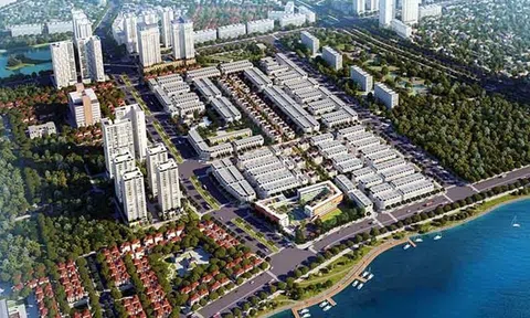 Công ty Hoàng Mai nợ hơn 123 tỷ đồng, đứng đầu các doanh nghiệp nợ thuế tại Hòa Bình