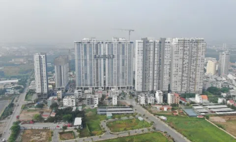 Lỗ hổng pháp luật tạo cơ hội phân lô bán nền tràn lan