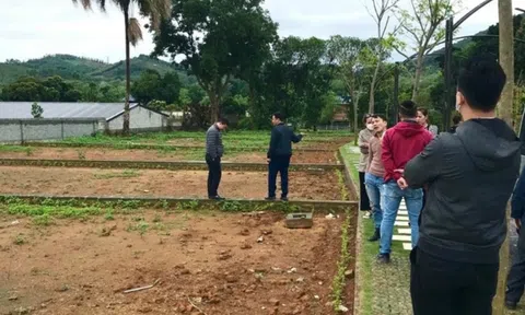 Nhà đầu tư “quay xe” với nơi từng là “thủ phủ” phân lô, bán nền