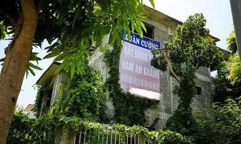 Có nên xuống tiền mua bất động sản lúc này?