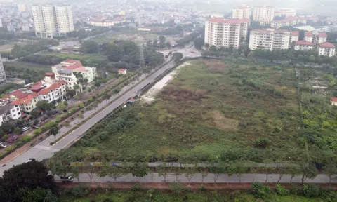 Cận cảnh hai dự án Tân Hoàng Minh có thể bán để trả tiền nhà đầu tư