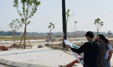 'Người có trình độ không nên đi buôn đất để làm giàu'