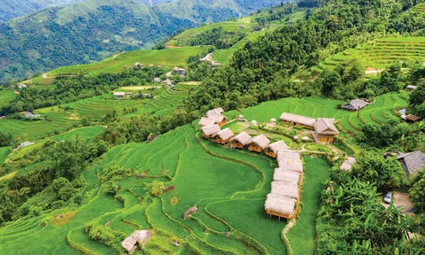 Đầu tư homestay, sai một ly đi trăm tỷ